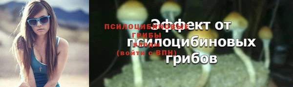 spice Абинск